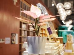 -韬智书店(临桂吾悦店)