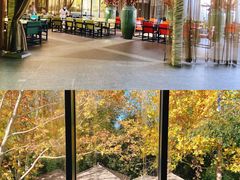 -春晖园度假酒店温泉