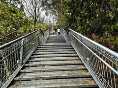 -佛山华盖山公园