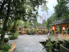 -青城甲(青城山店)