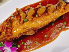 糖醋大黄花鱼-海岛渔村大酒店(云霄路店)