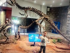 -自贡恐龙博物馆