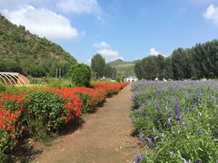 -紫海香堤香草艺术庄园