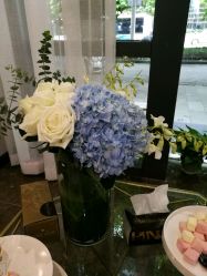 -JC·YOGA静禅瑜伽普拉提