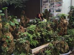 -秦美花卉(天朗·莱茵小城2期店)