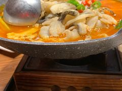 思茅酸汤鱼片-老滇山寨•云南特色菜•地方菜•民族风情歌舞表演(金碧店)