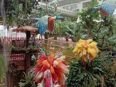 -正佳雨林生态植物园