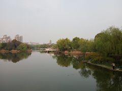 -新江湾城公园