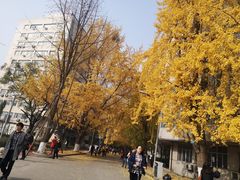 -四川大学(华西校区)