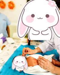-艾薇朵朵全套房月子中心(江宁店)