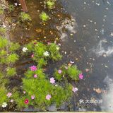地如其名:七彩森林 | 错过这里，你将错过整个秋天