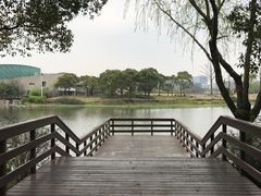 -新江湾城公园