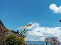 -丽江松赞酒店-餐厅