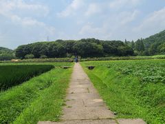 -八卦田遗址公园