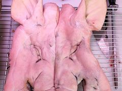 -阳江市第一市场