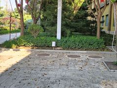 -南宫五洲植物乐园