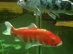 -08涮肉坊(广顺南大街店)