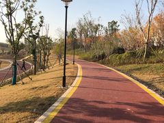 -九龙湖公园