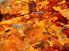 -石锅苗苗鱼(武汉首店)