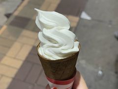 -富豪雪糕车流动点(尖沙咀店)