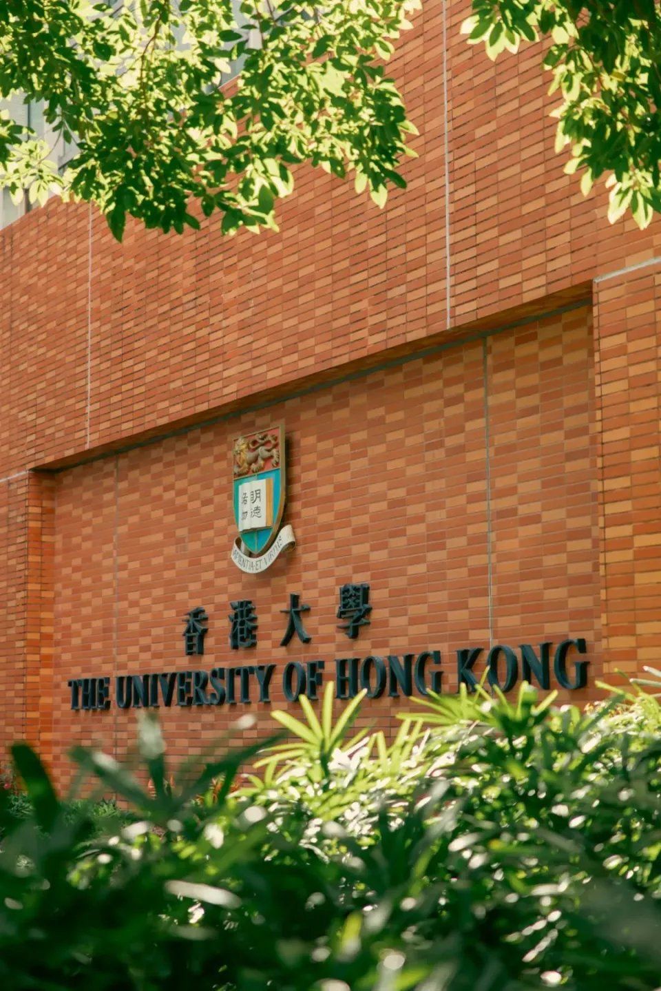 香港大学