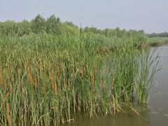 -西青郊野公园
