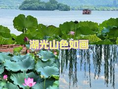 -西湖游船