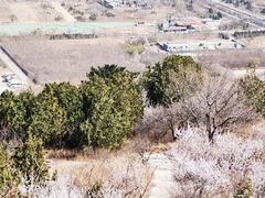 -北京西山国家森林公园