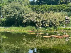 -国家植物园南园