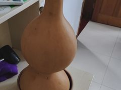 -体康盲人专业推拿