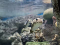 -福州罗源湾海洋世界旅游区