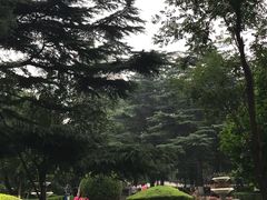 -中国人民解放军空军特色医学中心(空军总医院)