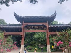 -杭州半山国家森林公园