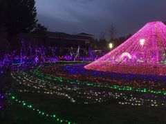-顺鑫绿色度假村