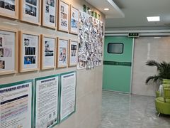 -半岛宠物医院24小时·内窥镜·牙科·碎石中心(府城大道店)