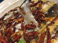 -江渔儿酸菜鱼(东二环泰禾店)