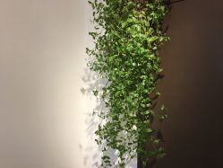 -新龙门刺青·纹身