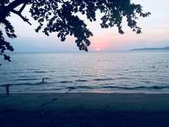 -卷心菜和避孕套餐厅(Pattaya)