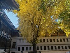 -国家图书馆·古籍馆