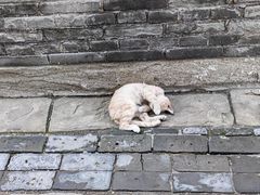 -晋祠博物馆