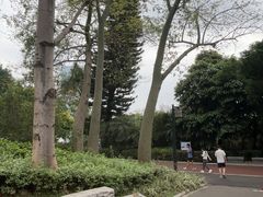 -南宁南湖公园