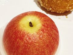 -大鸭梨烤鸭店(花园村店)