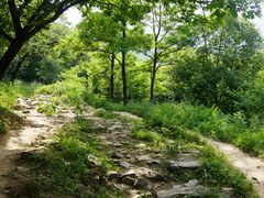-北京鹫峰国家森林公园