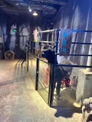 -酷嗒动物文化乐园(cutezoo西溪乐天城店)