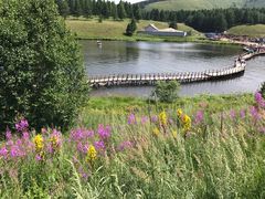 -塞罕坝国家级自然保护区