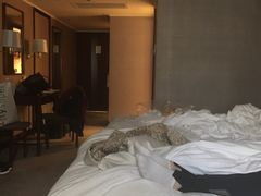 -马哥孛罗香港酒店