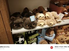 -覔书店(壹方城店)