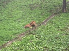 -西霞口神雕山野生动物世界
