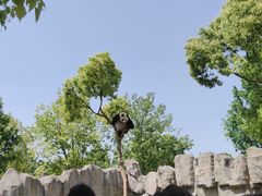 -上海野生动物园