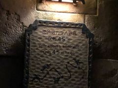 游乐设施-上海迪士尼度假区